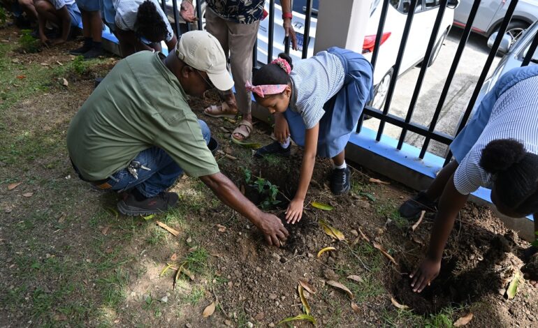 Hillside Christian Schools mark ‘Plant-A-Tree Day’ in Sint Maarten