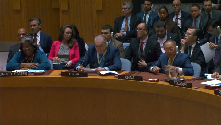 Russia and China veto US resolution calling for Gaza cease-fire