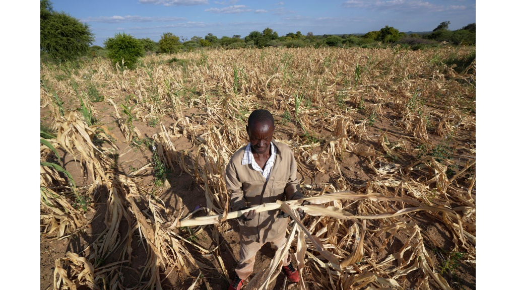 Zimbabwe declares drought disaster