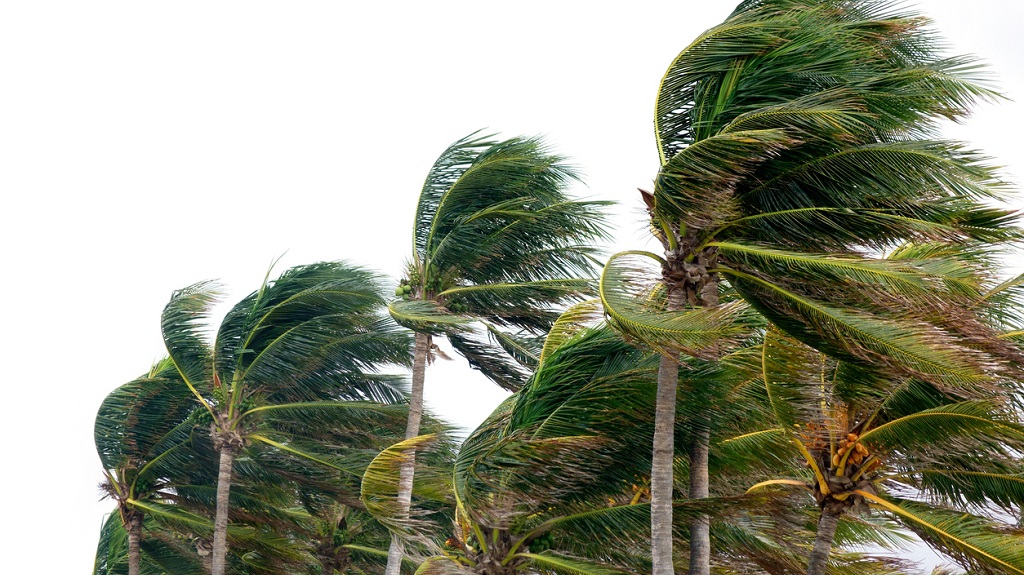 Hurricane history: Remembering significant storms in Grenada