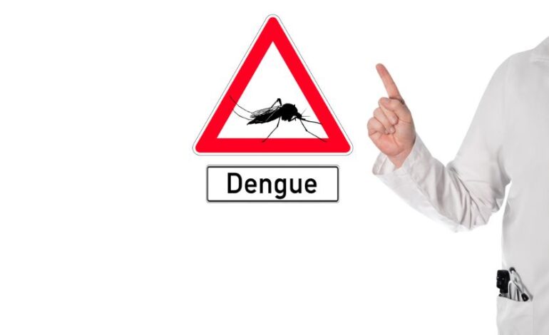 Dengue: 4 Caribbean countries remain on CDC watch level
