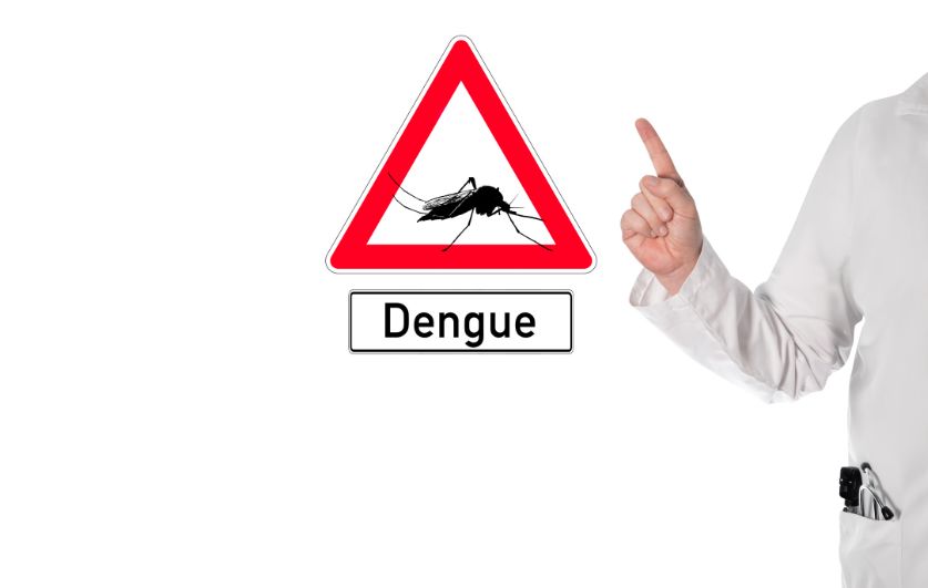 Dengue: 4 Caribbean countries remain on CDC watch level