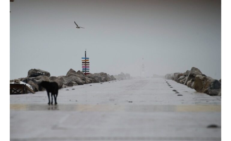 TS Alberto moves inland over Mexico as season’s first named storm