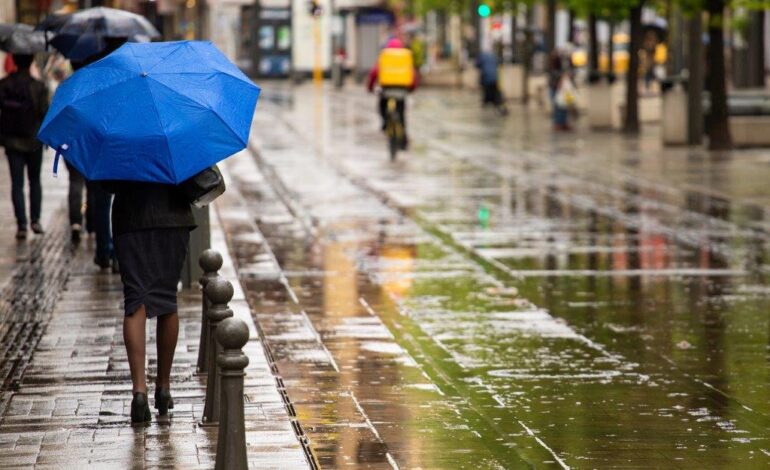 Umbrella buying tips to keep you dry this rainy season