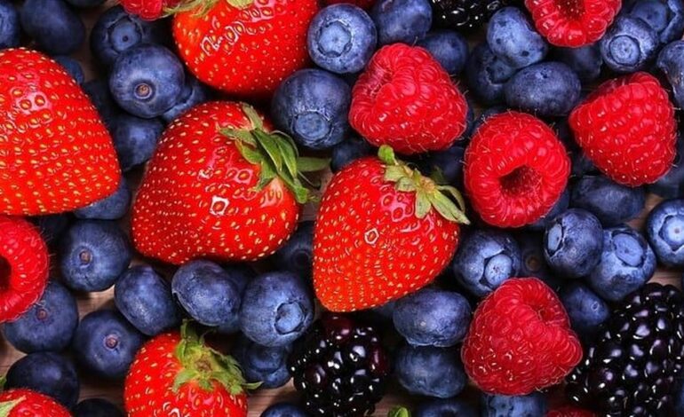 Beat the heat with these 5 refreshing foods