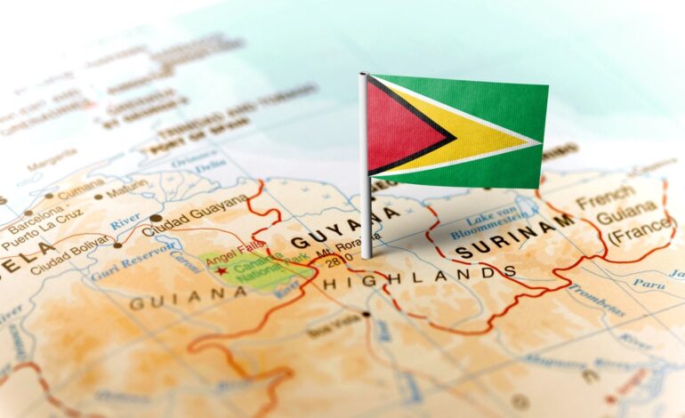 Guyana to save big on importation of corn, soya & shrimp