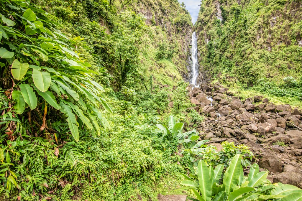 Dominica is favourite Caribbean Island on Travel+Leisure’s 2024 awards