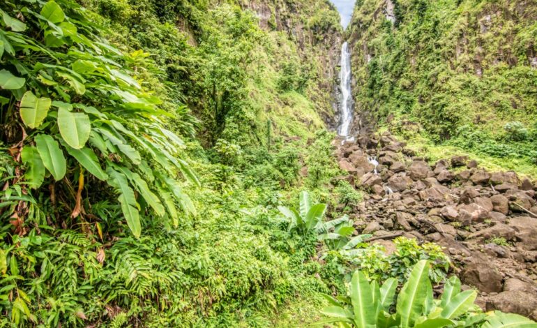 Dominica is favourite Caribbean Island on Travel+Leisure’s 2024 awards