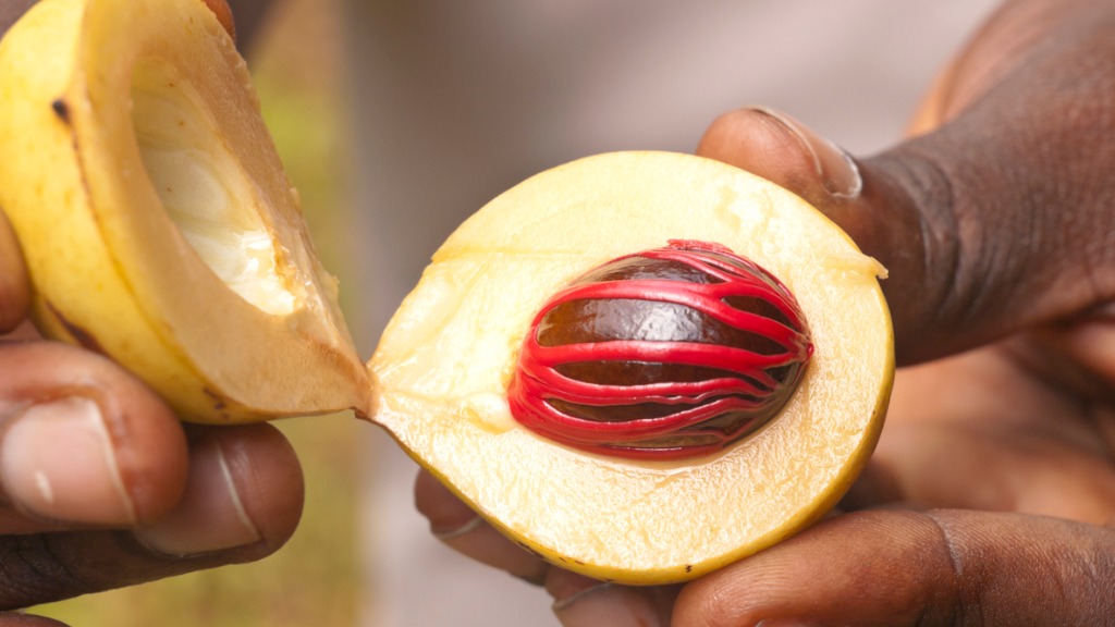 Grenada: Insured cocoa and nutmeg farmers to be reimbursed for losses
