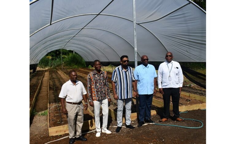 Grenada PM and President Ali tour shade house donated by Guyana