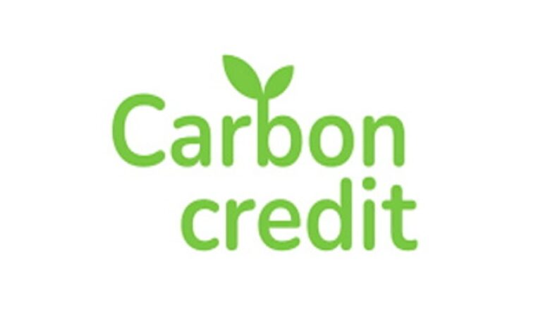 Suriname begins selling carbon credits