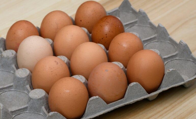 PM Browne slams ‘egg cartel’ over price increase amid rising costs