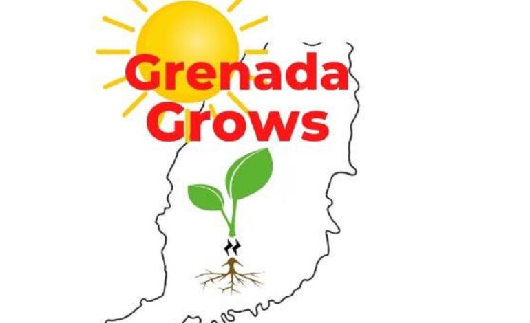 GrenadaGrows, a Grenadian startup company, shines on Global Stage