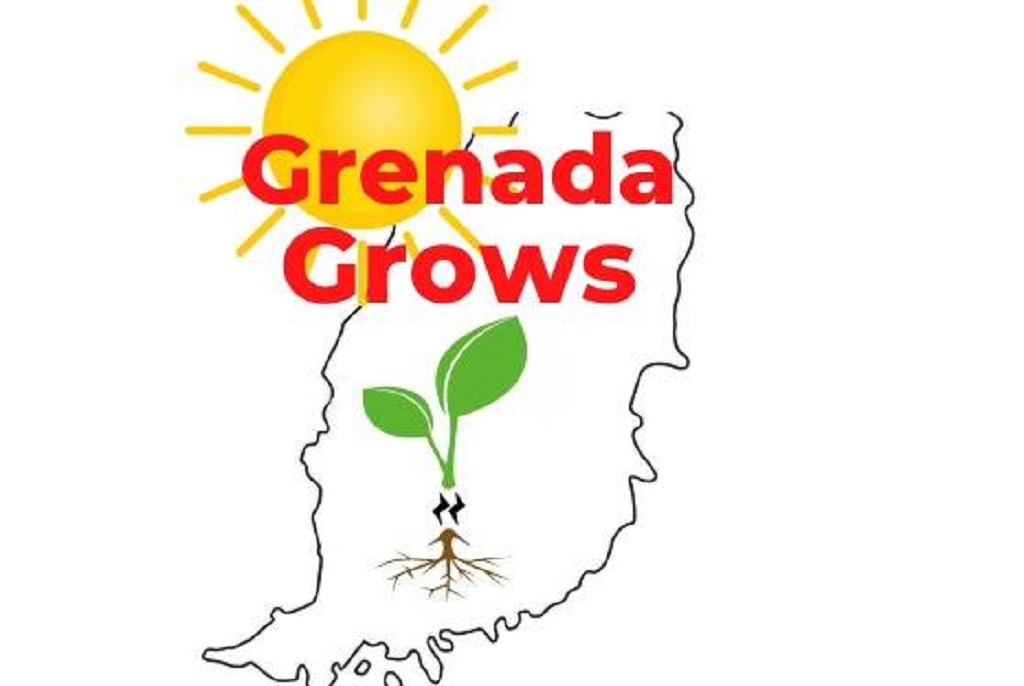 GrenadaGrows, a Grenadian startup company, shines on Global Stage