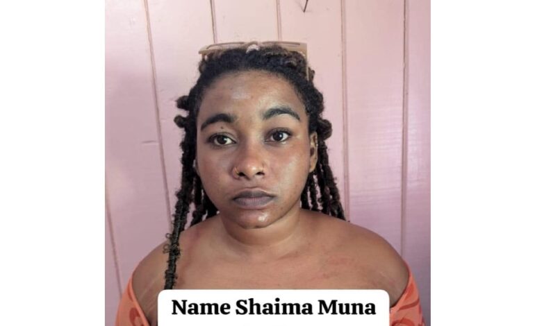 Guyanese singer Shaima Muna pleads guilty to drug trafficking charges