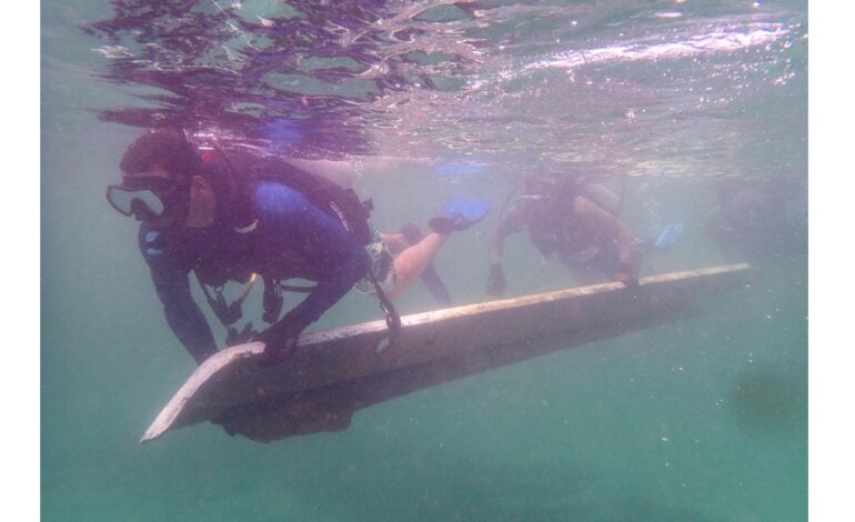 SVG: Coastal cleanup at Indian Bay bags hundreds of pounds of trash