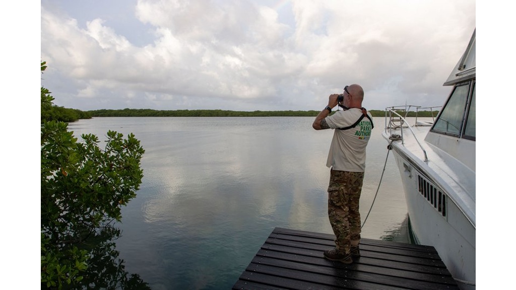 Crocodile search continues as Bonaire beaches reopen to visitors