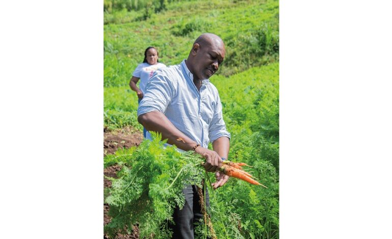 St Vincent’s Agriculture minister featured as an FAO food hero