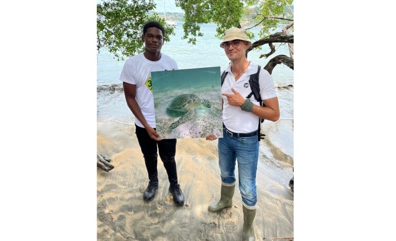 SVGEF empowers students in Sea Turtle conservation efforts