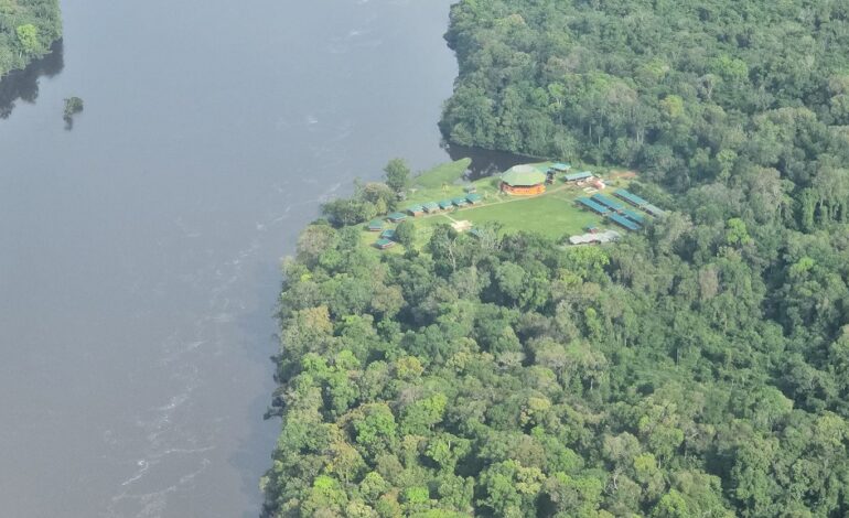 Guyana’s Green Gold: The Iwokrama Forest’s success showcased at COP29