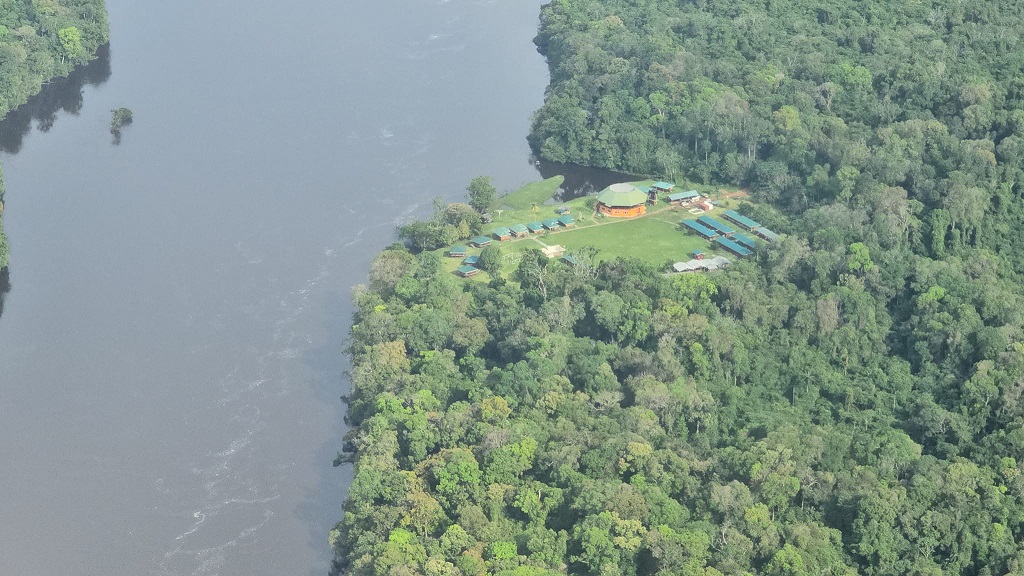 Guyana’s Green Gold: The Iwokrama Forest’s success showcased at COP29