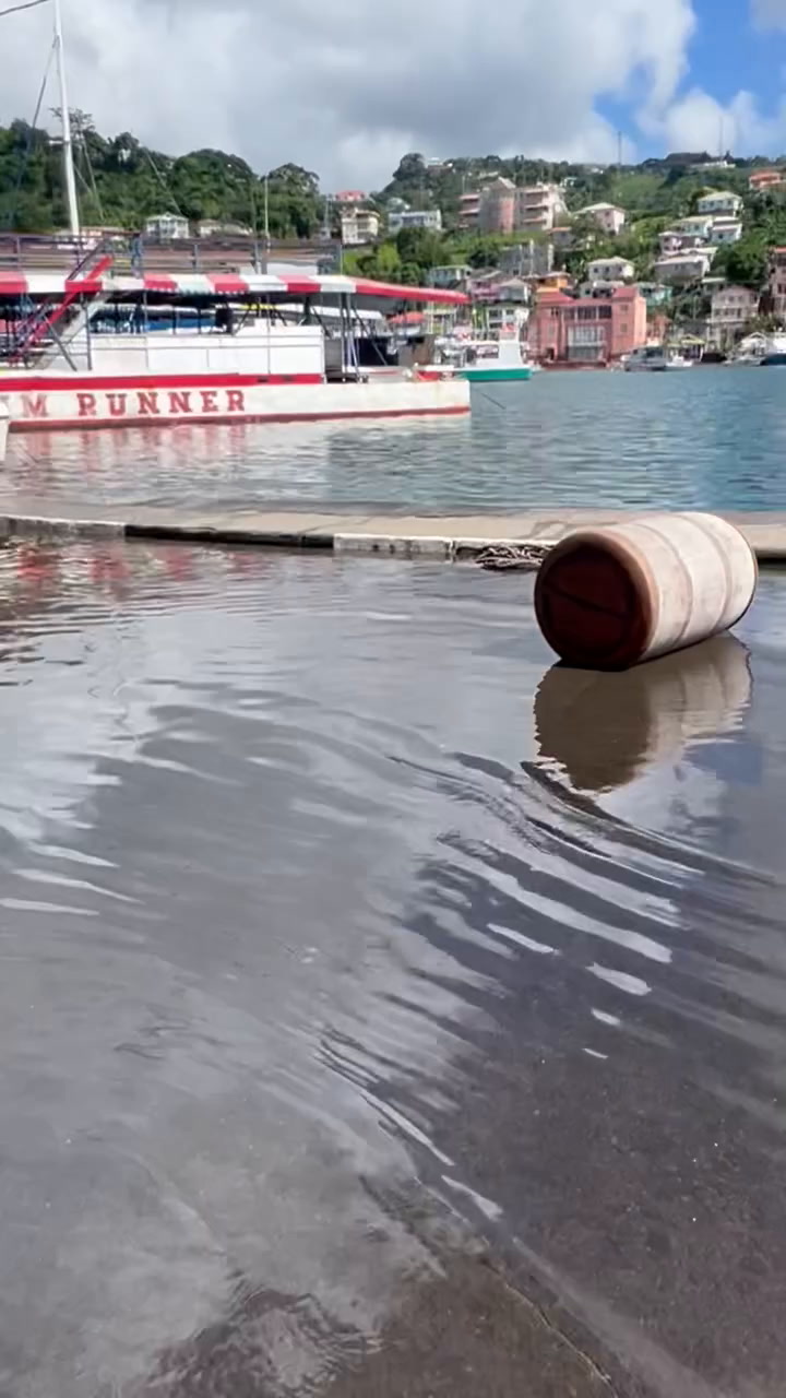 Clean drains to reduce flooding, says Grenada’s Opposition